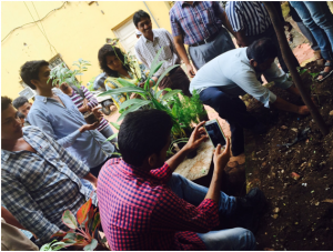 Tree Plantation